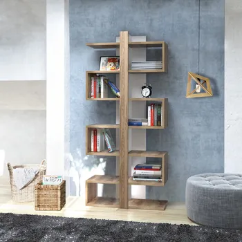 Knihovna ASIR Knihovna IONIS dub