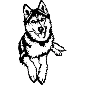 Vsepropejska Husky 3 dřevěná dekorace na zeď Rozměr (cm): 38 x 20