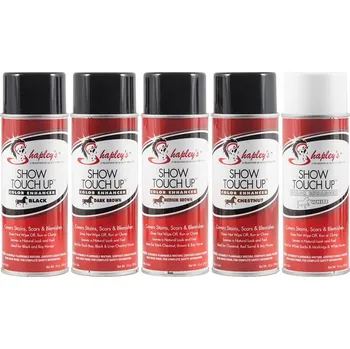 Stylingový přípravek Shapley's SHAPLEY´S Touch Up Spray Grey 10oz.(284g)