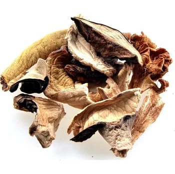 ASO - Zdravý život Směs lesních hub 50g