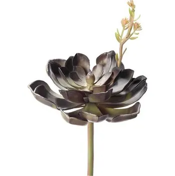 Dekorace do terária Hobby Echeveria 25 cm