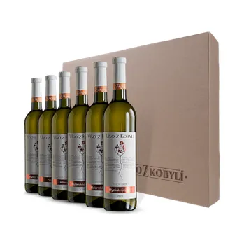 Víno Víno z Kobylí Dárková degustační sada vín I 6 ml