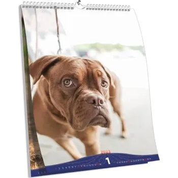 Fotokalendář Nástěnný kalendář NKN-51 (A3)