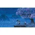 DVD film Kung Fu Panda (2008), DVD