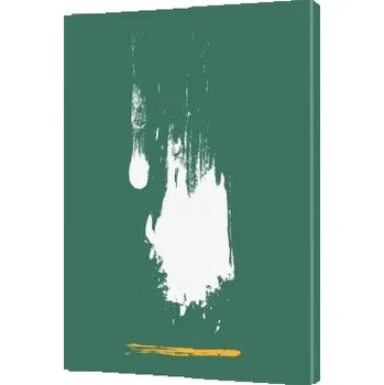 Podložka pod nábytek Volný pád - obraz na plátně (70x100)