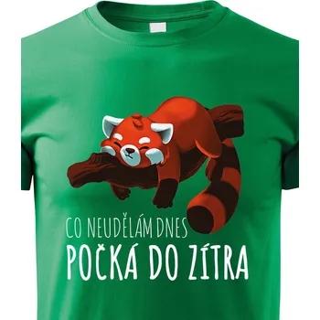 Chlapecké tričko Dětské tričko Co neudělám dnes, Barva Zelená, Velikost 146 cm/10 roků, Canvas Dětské tričko Bezvatriko.cz 0567 - 1xc