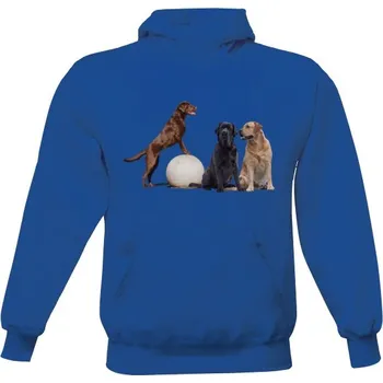 Pánská mikina Pánská mikina s kapucí s potiskem Labradorský retrívr pánské