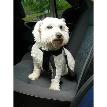 Postroj pro psa Postroj bezpečnostní do auta pro psa černý vel. 20 - 40 cm (doprodej)