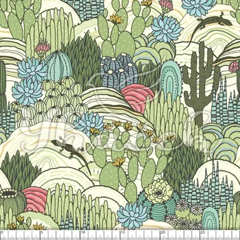 Kočárkovina, Kaktusy a ještěrky