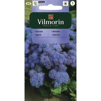 Semeno Vilmorin Nestařec americký (modrý)