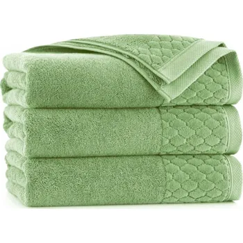 Ručník DARRÉ Cannosa 1 ks 30 x 50 cm zelená
