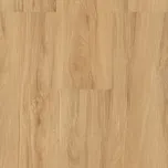 BRASED Ecoline Click 9560 Buk vita