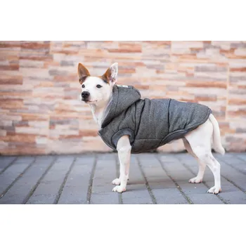Obleček pro psa Vsepropejska Mix zimní bunda pro psa Barva: Šedá, Délka zad (cm): 26, Obvod hrudníku: 32 - 38 cm