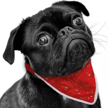 Obojek pro psa Nobby Vánoční obojek se šátkem 35 cm