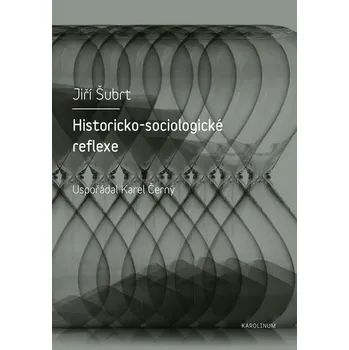 Kniha Historicko-sociologické reflexe - Jiří Šubrt (E-Kniha)
