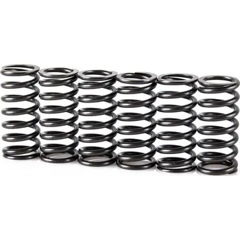 Spojková sada Pružiny spojky sada MOTION STUFF STF-501-5015