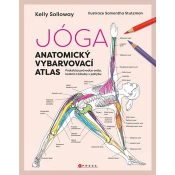 Jóga - anatomický vybarvovací atlas