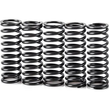 Spojková sada Pružiny spojky sada MOTION STUFF STF-501-5022