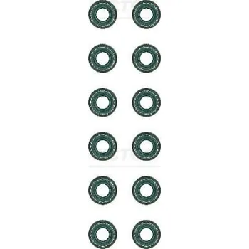 Těsnění motoru Sada těsnění, dřík ventilu VICTOR REINZ 12-26058-01