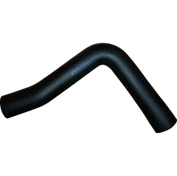 Turbodmychadlo Hadice plnícího vzduchu BUGIAD 88825