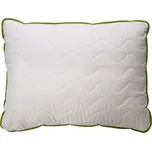 B.E.S. Petrovice Bella Standard Aloe…