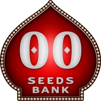 Semeno 00 Seeds Chocolate Cream Počet ks Feminizované: 3