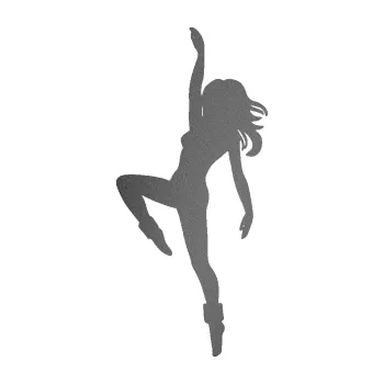 Samolepicí dekorace na vozidlo Aerobik 002 levá (41 - grafitová metalíza) SAMOLEPKA NA AUTO, NÁLEPKA, FÓLIE, POLEP, TUNING, VLASTNÍ TEXT, TISK, AUTOSAMOLEPKY.cz, POLEPY, OBRÁZEK, LOGO, 3D STICKERS