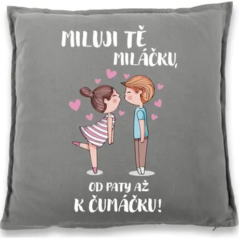 Dekorativní polštářek Polštářek pro zamilované - Miluji tě miláčku, Barva Šedá, Velikost 40×40 cm, Canvas Bavlněný polštář Bezvatriko.cz 0934 - 1x