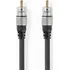Audio kabel NEDIS CAGC24170AT100