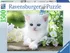 Puzzle Ravensburger Bílé kotě 1500 dílků