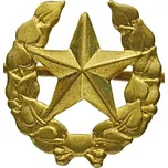 Originál AČR odznak vševojskový