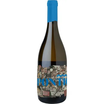 Víno Ryzlink vlašský 2017 pozdní sběr suché řada Pontic Vinařství Baláž