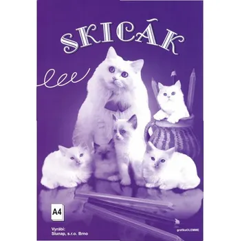 Výtvarný papír Skicák A4 10 listů jednobarevný 500.01 Slunap