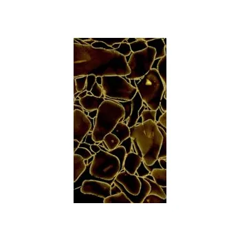 Dlažba Polotovar Magna Glaskeramik Champagne Brown 270x120 cm leštěný