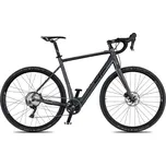 4EVER ENGRAVE PRO - titan/metal stribrna 2023/24 Průměr kol: 28" (700C), Výška rámu: (55 cm), Velikost rámu: L