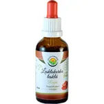 Lesklokorka lesklá AF tinktura 50ml Salvia Paradise