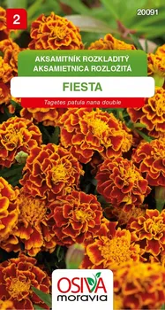 Semeno Osiva Moravia Fiesta aksamitník rozkladitý červenohnědý 0,7 g