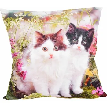 Povlak na dekorativní polštářek Fotonávlek, povlak na polštářek Dvě kočičky na louce