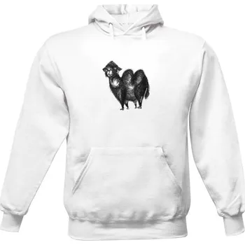 Pánská mikina Pánská mikina s kapucí s potiskem Velbloud na mikině pánské