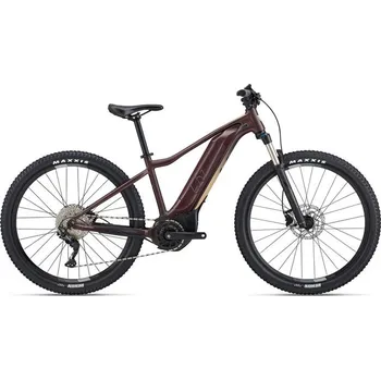 Elektrokolo Giant Horské elektrokolo Liv Tempt E+ 1 29er Figuier M23 Velikost kola: M, Modelový rok: 2023