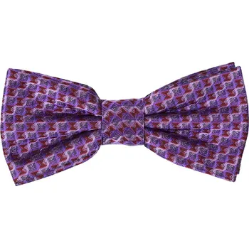 Motýlek Chattier Pánský motýlek s kapesníčkem Spring fialový –