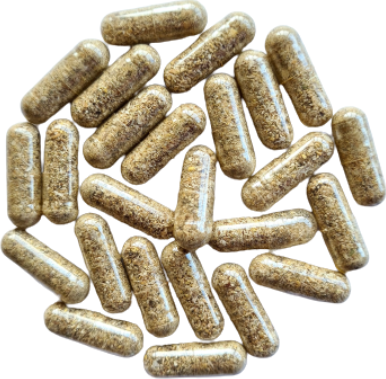 Kapsle Pampeliška kořen, balení 120 ks