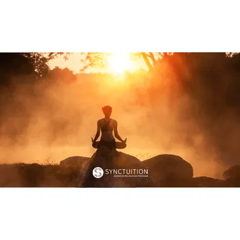 Časopis Synctuition - roční - Wild & Coco