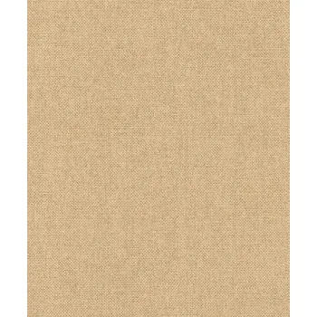 Tapeta Vliesové tapety RASCH Color Your Life (2025) 312171, vliesová tapeta na zeď, (0,53 x 10,05 m)