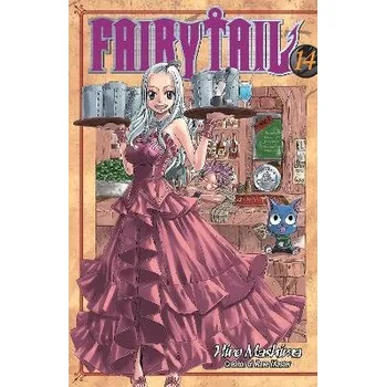 Komiks pro dospělé Fairy Tail 14