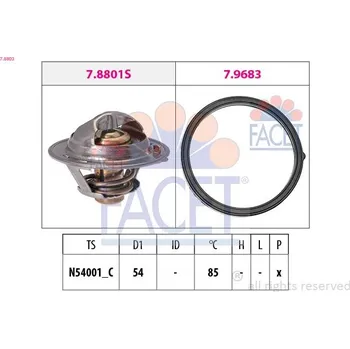Těsnění motoru Termostat, chladivo FACET 7.8803