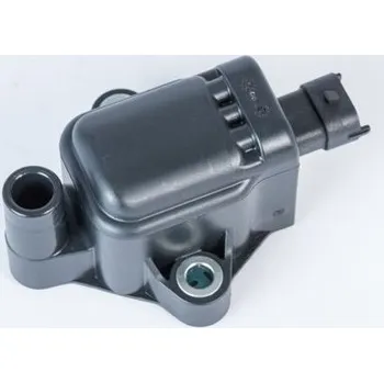 Zapalovací cívka Zapalovací cívka BorgWarner (BERU) ZS593