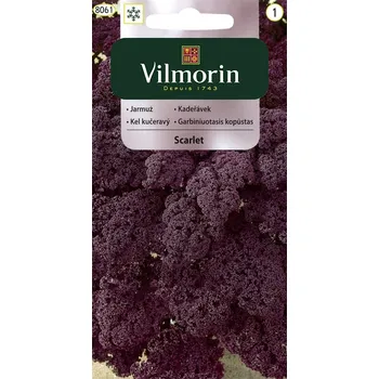 Semeno Kadeřávek Scarlet fialový Vilmorin Classic 2 g