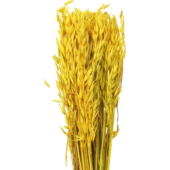 Sušená avena žlutá 80 g