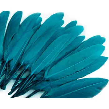 Kachní peří délka 9-14 cm - modrá kachní